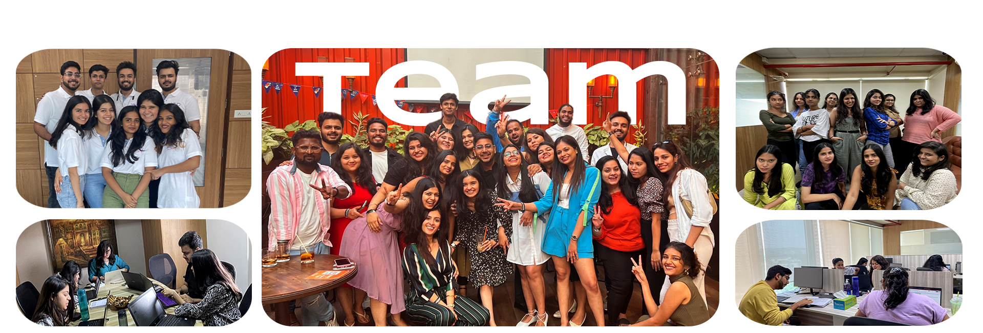 Meet the team